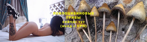 круглые Кодинск